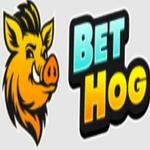 BetHog UK Casino Harding