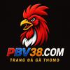PBV88 ⭐️Trang chủ PBV88.COM