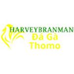Đá Gà Trực Tiếp Thomo