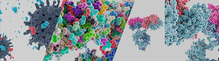 Иммуноглобулины и вирусы. Война в миллионы лет