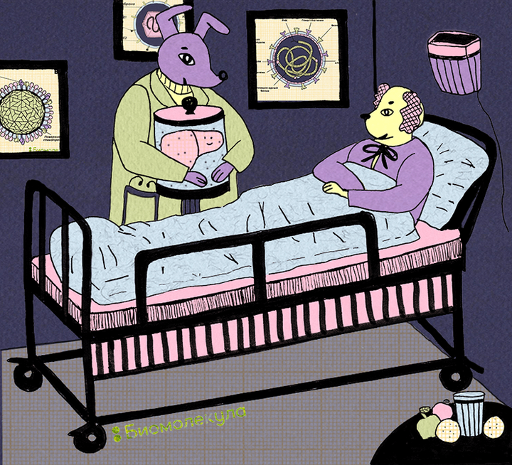 Не дружите, дети, с гепатитом B