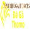 Đá Gà Trực Tiếp Thomo