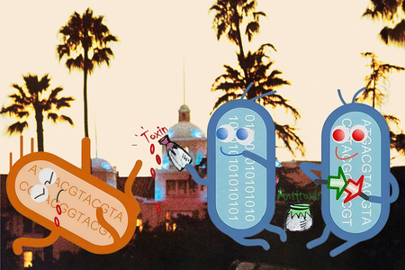 Эгоисты, вечные и такие... полезные? Или немного о ТА-модулях