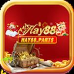HAY88 parts