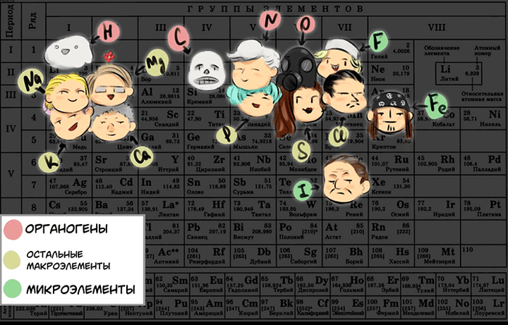Биологически важные химические элементы