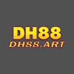 DH88 art