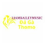 Đá Gà Trực Tiếp Thomo