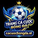 cacuocbongda
