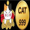 Cat999 dev