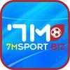 7msport biz