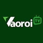 Vaoroi TV Trực Tiếp Bóng Đá