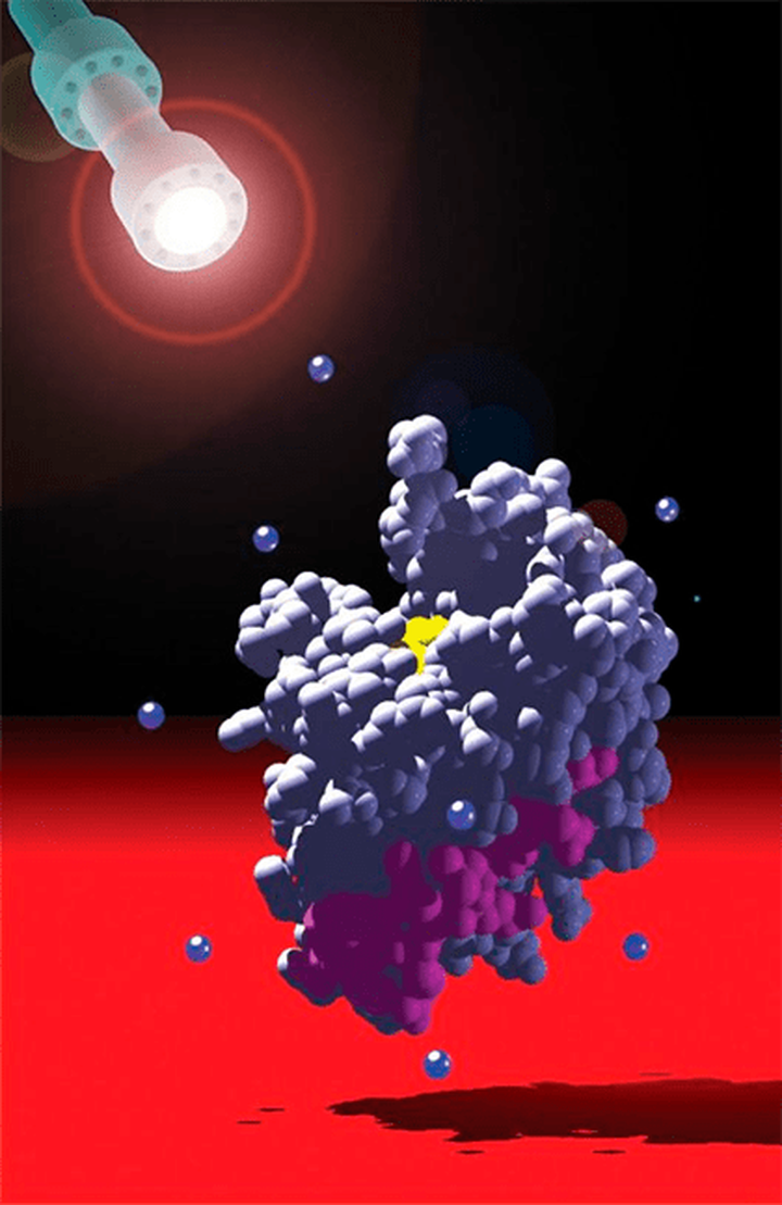 Новый вид ингибирования ферментативной активности