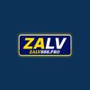 zalv888pro
