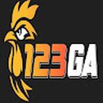 123GA cam