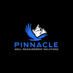 Pinnacle Well Measurement