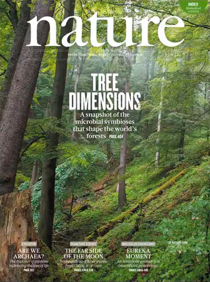 SciNat за май 2019 #3: синтетический геном для <em>E. coli</em>, нейрогенез в опухолях и клетки головастика, управляющие регенерацией