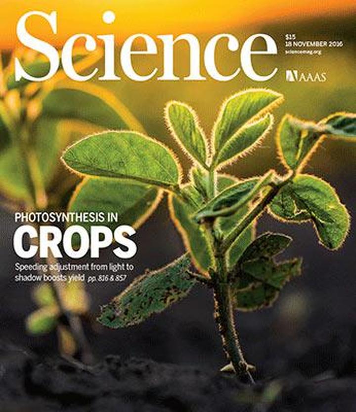 SciNat за ноябрь 2016 #3: новые применения CRISPR, термометры растений, искусственная фиксация CO2