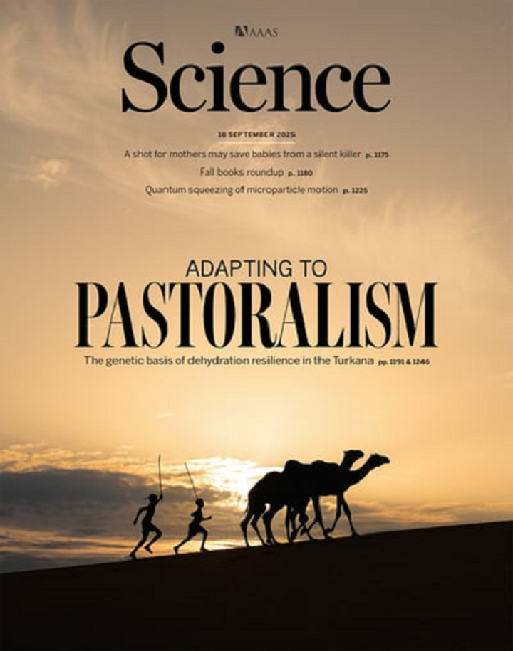 SciNat за сентябрь 2025 #3: любимая пицца ящериц, умные собаки и «прицел» Т-киллеров