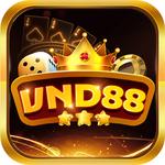 VND 88