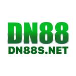 dn8 8snet