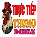 ĐÁ GÀ TRỰC TIẾP THOMO HÔM NAY
