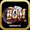 bomwin ltd