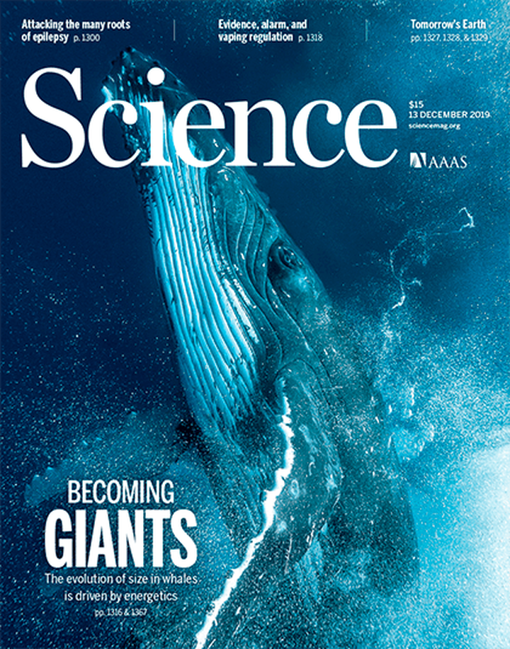 SciNat за декабрь 2019 #2: самые большие животные на планете, самозащита бактериофагов и перспективы адоптивной терапии