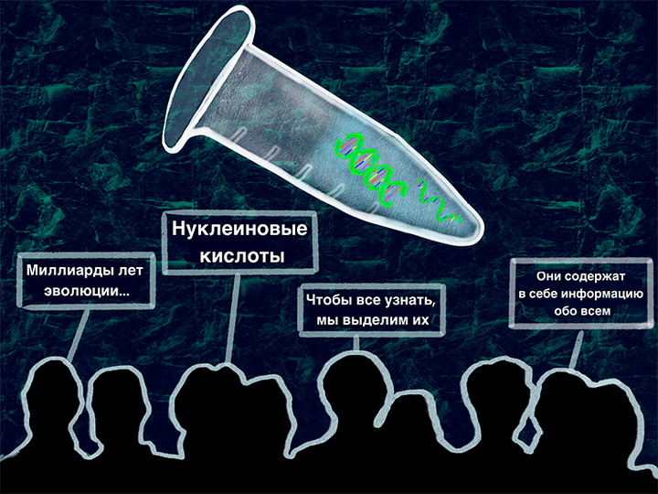 Выделяем нуклеиновые кислоты: эволюция методов