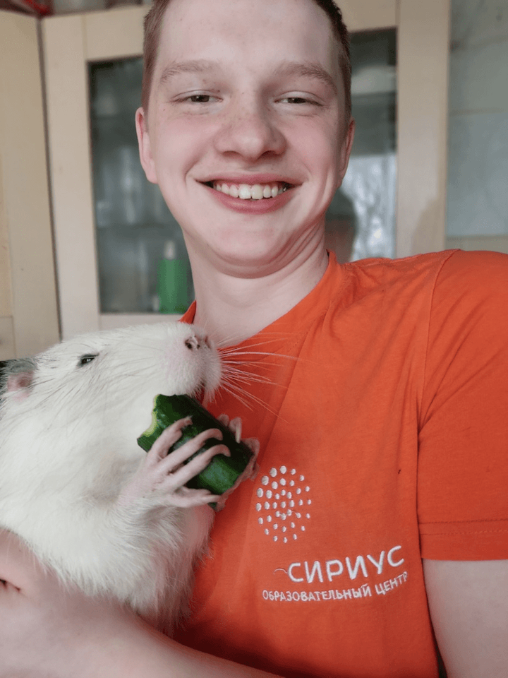 Пройти у нутрии внутри