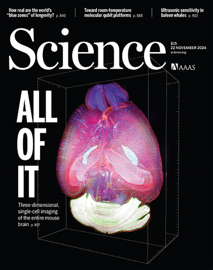SciNat за ноябрь 2024 #4: сердечное лекарство против рака яичников, микробиом раскрывает истинные отношения людей и чувствительный слух китов