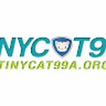 Tinycat99