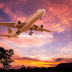 flighys official