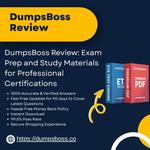 DumpsBoss Review