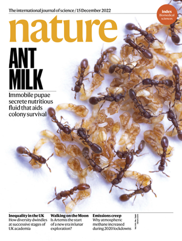 SciNat за декабрь 2022 #3: как микробиом влияет на мотивацию, инженерная иммунотерапия и как избежать клеточной смерти