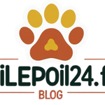 pilepoil7 fr