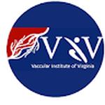 Vascular Institute of Virginia