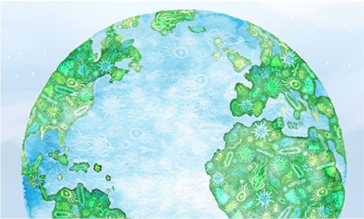 Страшный сказ о том, как исчезли все полезные микробы