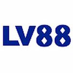 lv8838com