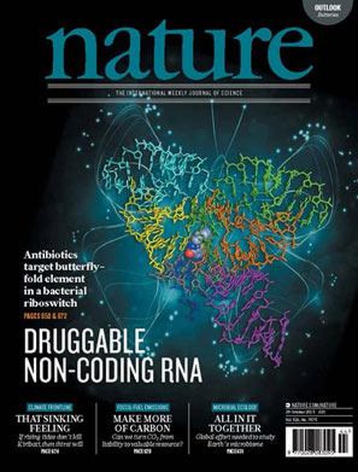 SciNat за октябрь 2015 #5: регенерация саламандр, польза от коллег и секрет направленного метастазирования