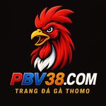 PBV88 ⭐️Trang chủ PBV88.COM
