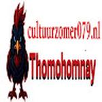 THOMOHOMNAY cultuur