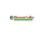 Blossomvalley Therapycentre