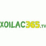 xoilac 365