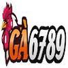 GA6789 2025