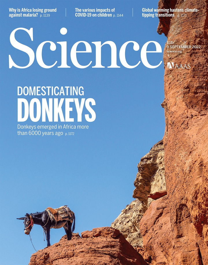 SciNat за сентябрь 2022 #2: доисторическая хирургия, почему нас тянет на жирную пищу и кто обезвреживает трипсин в нашем организме