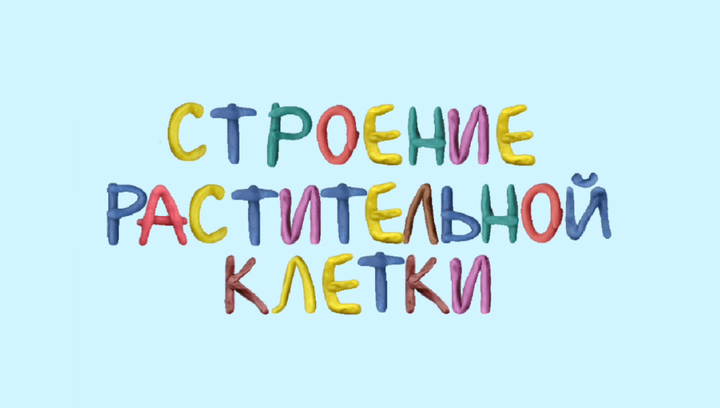 Строение растительной клетки