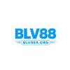 Blv88aorg Blv88aorg