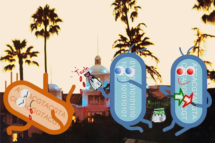 Эгоисты, вечные и такие... полезные? Или немного о ТА-модулях