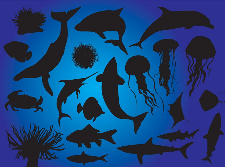 Морские животные в ходе эволюции становятся крупнее