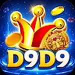 D9d9 net D9d9 net